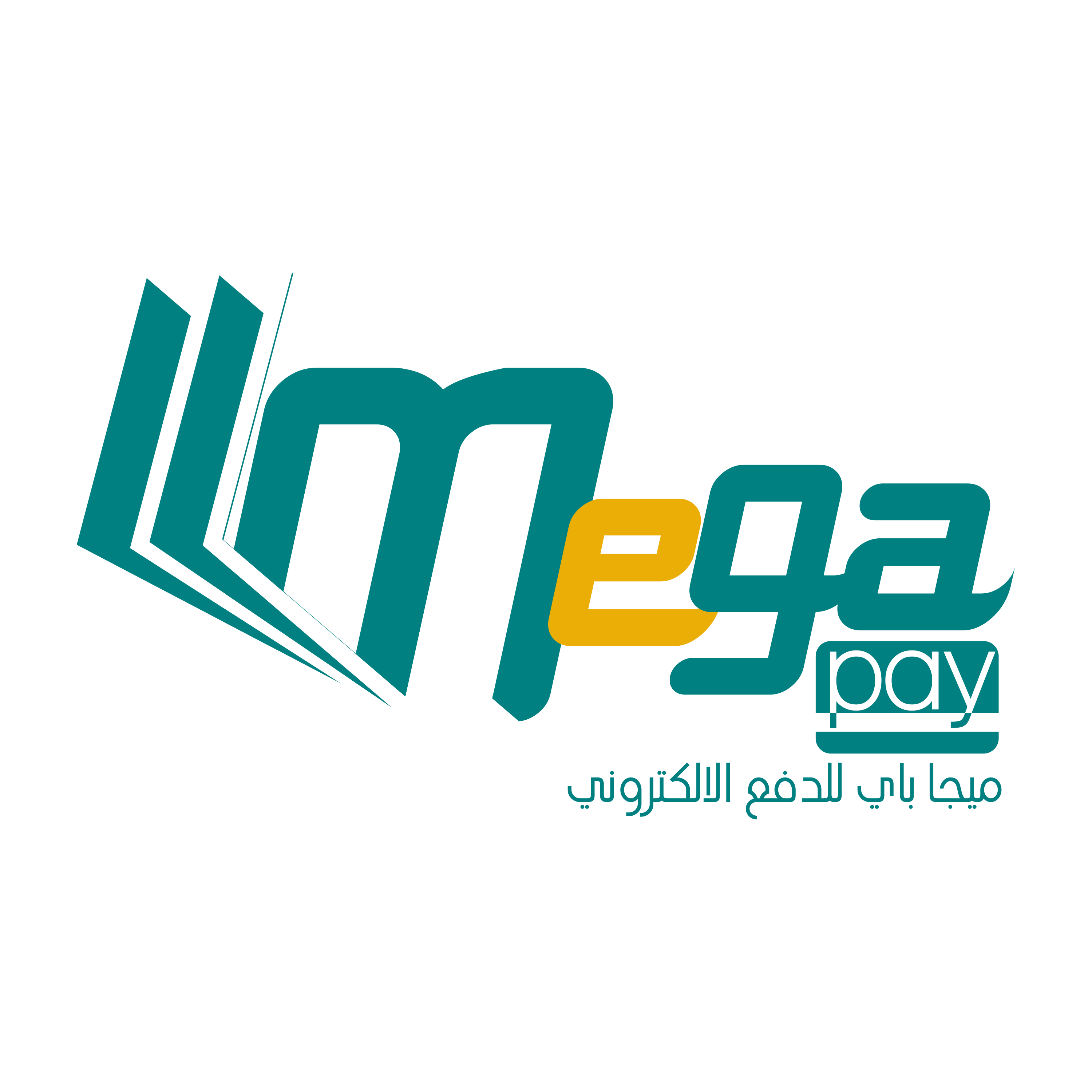 pioneers-pay-system-developer-by-by-pioneers